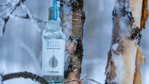 L’ Eau de Bouleau Evoleum pour passer les fêtes L’ Eau de Bouleau Evoleum pour passer les fêtes